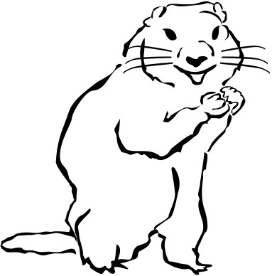 Groundhog