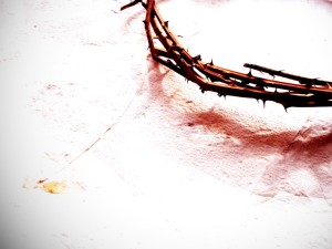 Crown of Thorns in a Corner