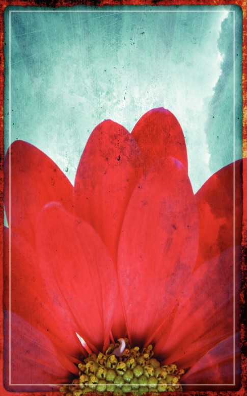 Virtuous Wife Church Bulletin Cover