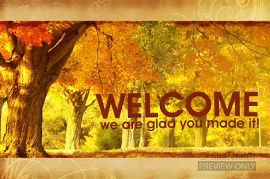 Autumn Trees Welcome Video Loop