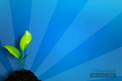 Seed in Fertile Ground Video Background