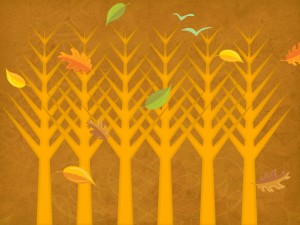 Fall Images