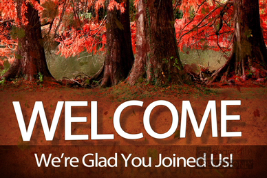 Fall Trees Welcome Video Loop