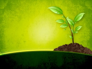 Happy New Year Graphics Worship Background