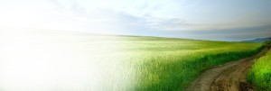 Green Field Website Banner