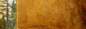 Forest Trees Website Banner