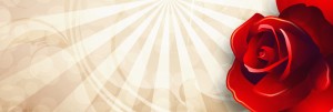Red Rose Website Banner