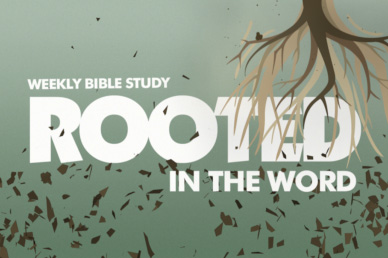 Bible Study Video