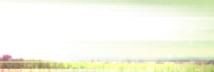 Mission Field Website Banner