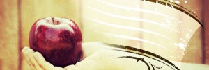 Bear Fruit Website Banner