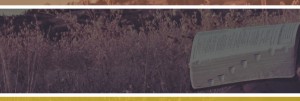 Seeking God Website Banner