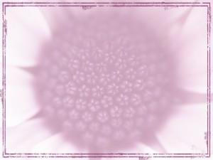 Purple Flower Worship Background