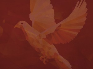 Experience True Peace Christmas Ministry Background