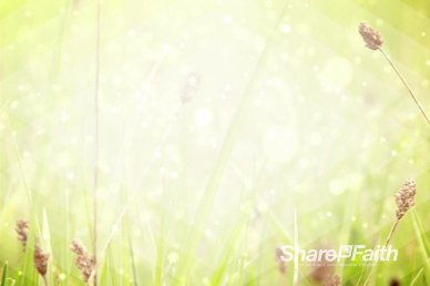 Resurrection Sunday He is Risen Worship Video Background