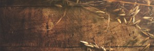 Joy of Harvest Ministry Web Banner