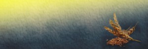 Feast of First Fruits Ministry Web Banner