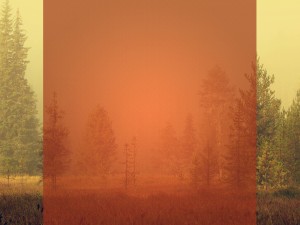 Give Thanks Religious Wallpaper