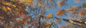 Pastor Appreciation Ministry Church Web Banner