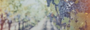 Abundant Blessings Religious Website Banner