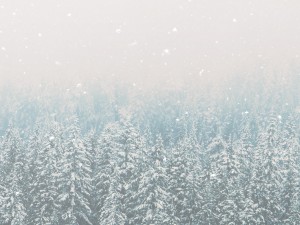 Winter Communion Sunday Christian Worship Background