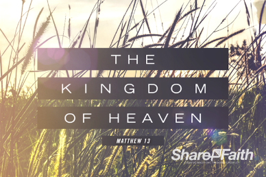 Kingdom of Heaven Wheat Sermon Title Video Loop