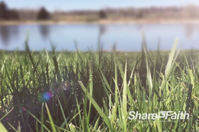 Grass and Water Church Motion Background