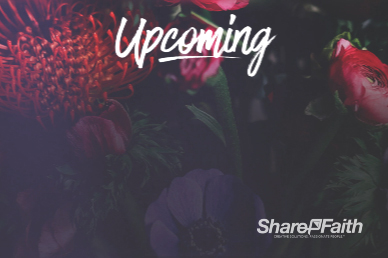Mother's Day Flower Announcements Motion Graphic