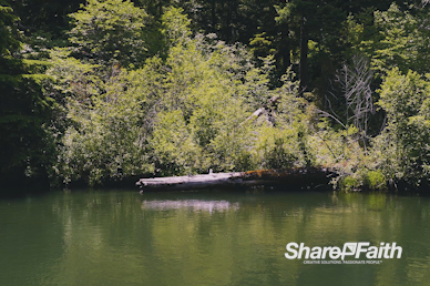Log Creek Nature Motion Background