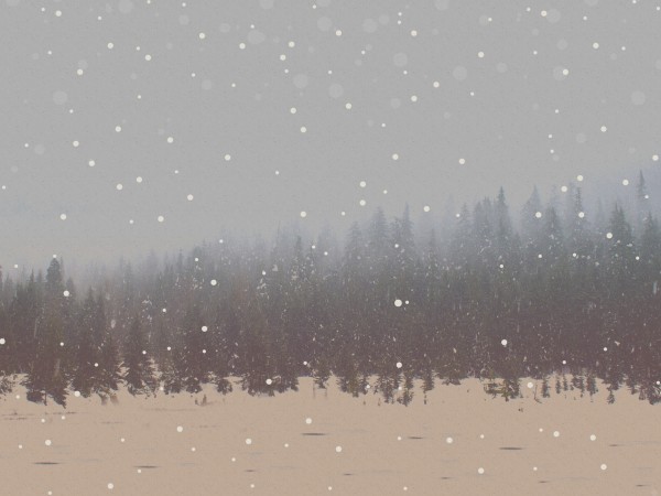 You Are Invited To Christmas Forest Worship Background