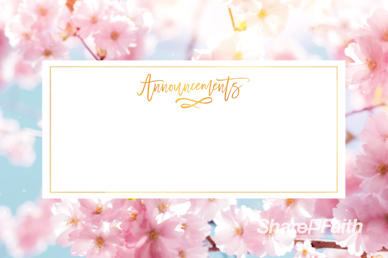Mother's Day Cherry Blossom Announcements Motion Graphic