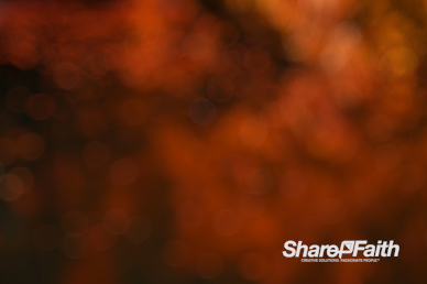 Orange Bokeh Motion Background
