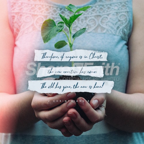 New Creation Social Media Graphic