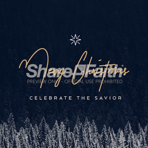 Merry Christmas Celebrate The Savior Social Media Graphic