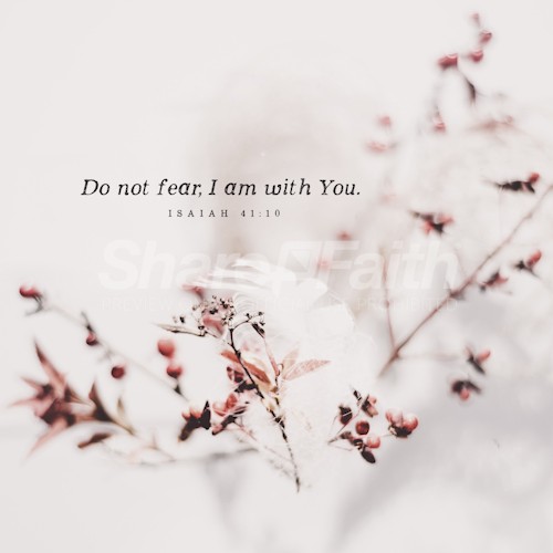 Isaiah 41:10 Do Not Fear Social Media Graphic