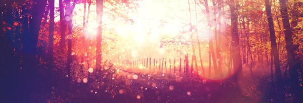 Fall Welcome Church Website Banner