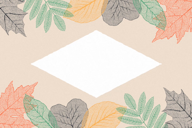 No Text Autumn Leaves Motion Graphic