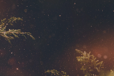 Very Merry Christmas No Text Church Motion Graphic