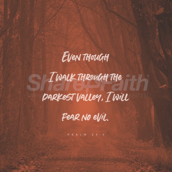 Fear No Evil Social Media Graphic