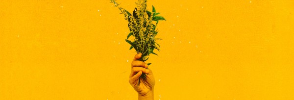 Generous Flowers Church Website Banner