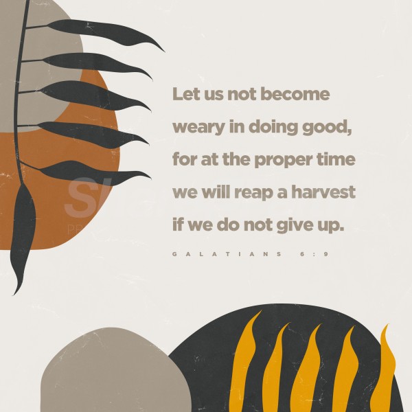 Reap A Harvest Social Media Graphic