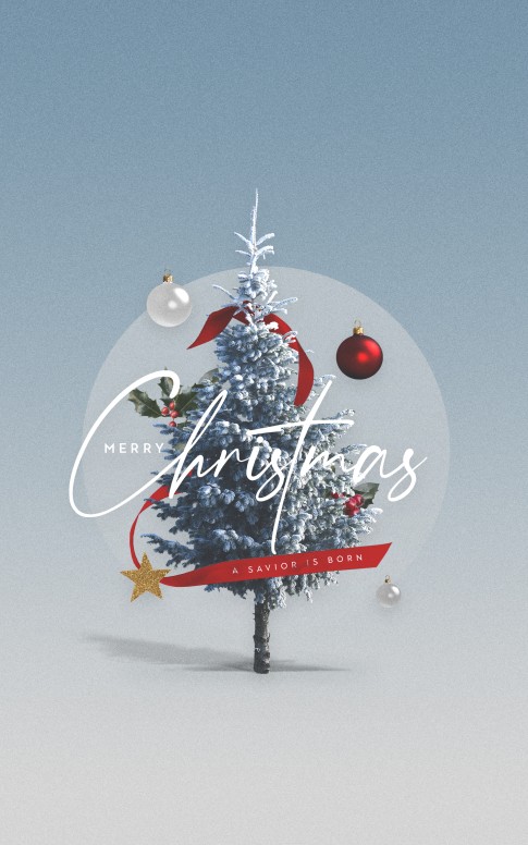 Merry Christmas White Christmas Church Bifold Bulletin