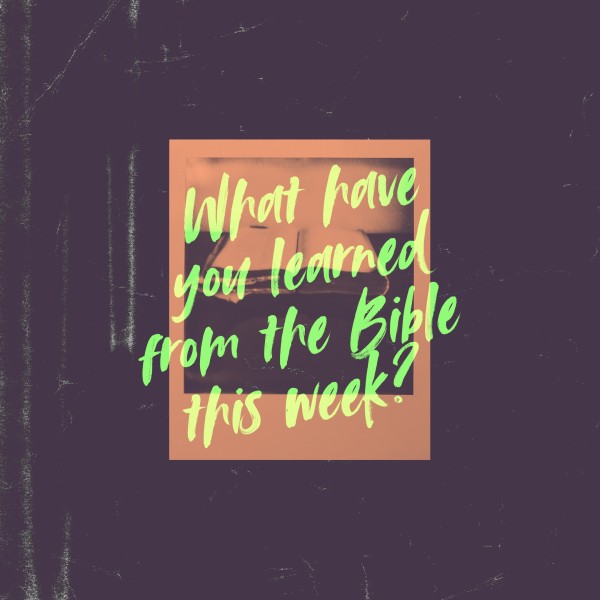Bible Learn Social Media Graphic