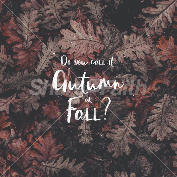 Autumn or Fall Social Graphics