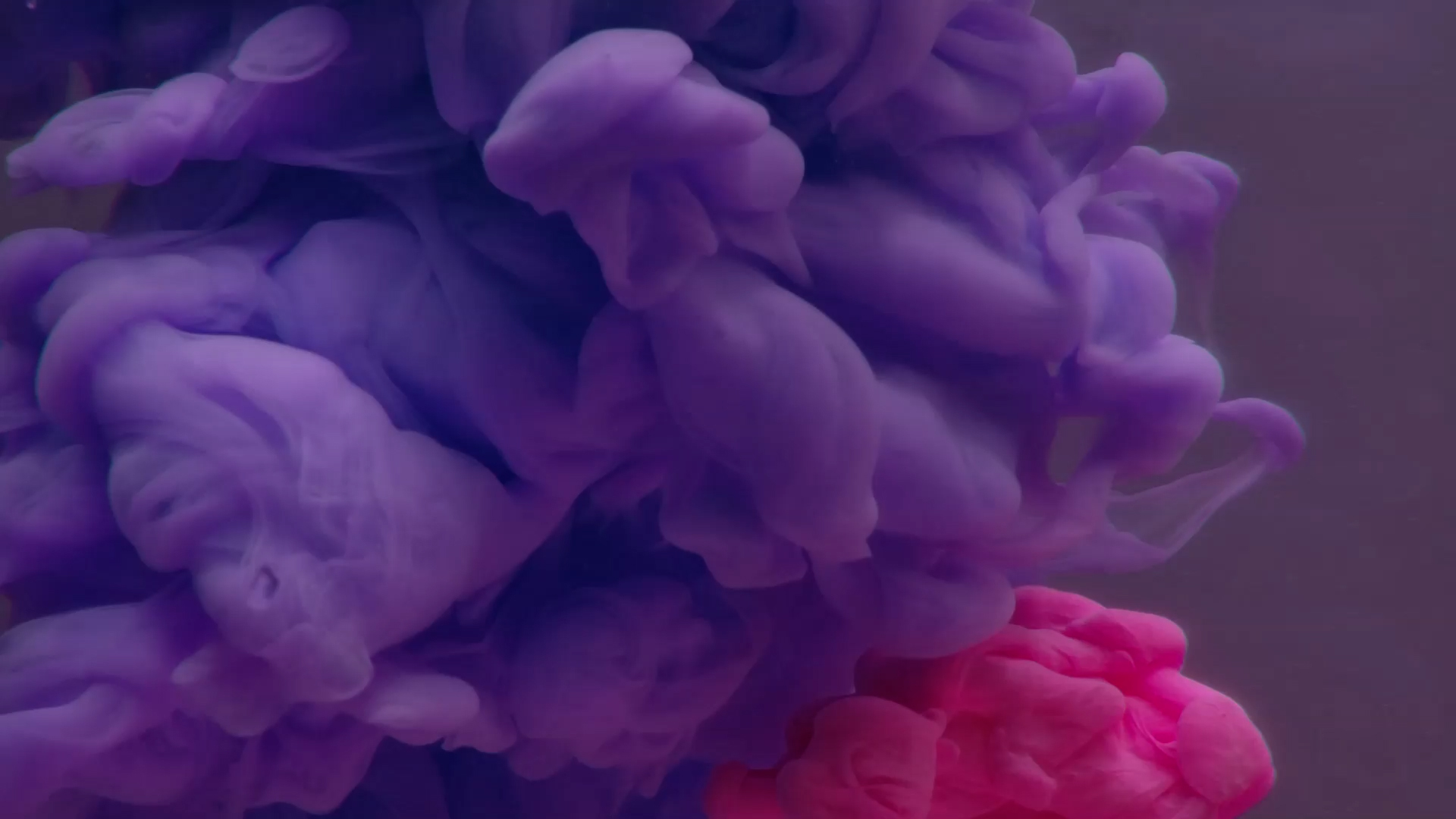 Worship 29 Colormix Church Motion Graphics