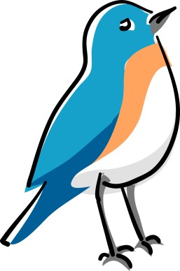 Blue Bird Standing