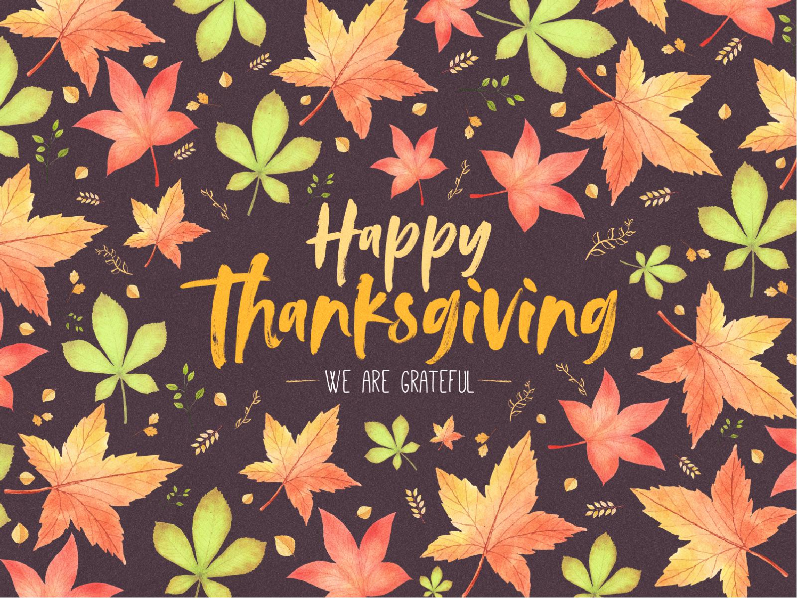 Happy Thanksgiving Holiday Graphic