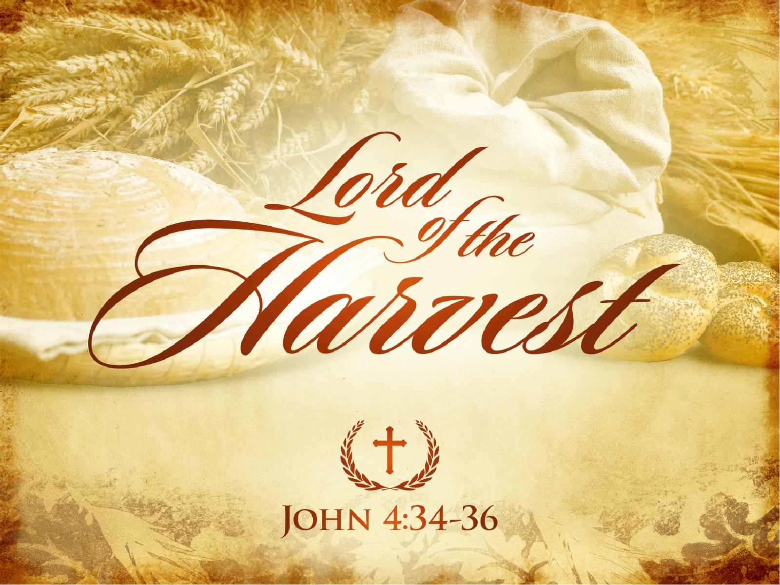 Lord Of The Harvest Church PowerPoint