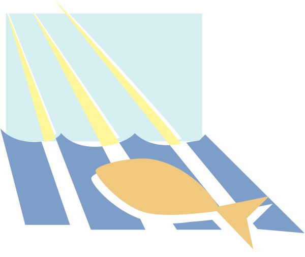 Fish and Rays of Light