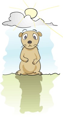 Groundhog Predicts More Winter