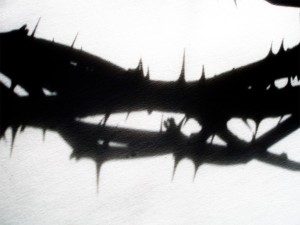 Crown of Thorns with Shadows
